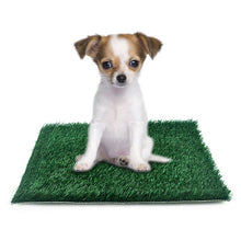 Load image into Gallery viewer, Pet Artificial Grass Mat

